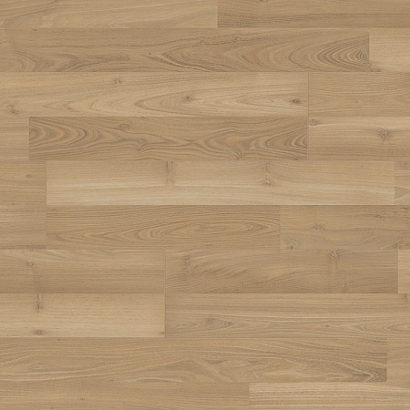 Акация Корнсилк 35063 AV