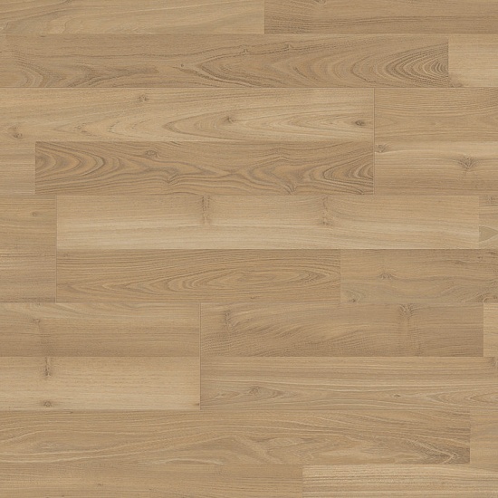 Акация Корнсилк 35063 AV