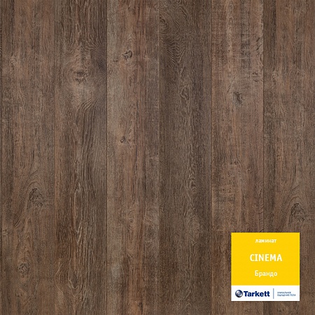 Брандо 504108034