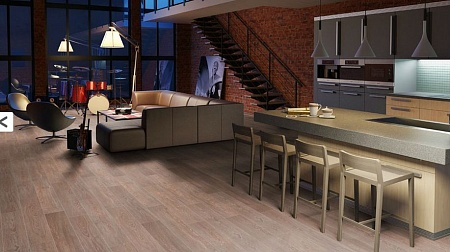 Дуб Рохайд 8063158