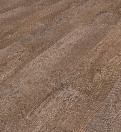 5340 Дуб Каталония