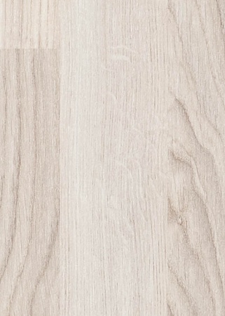 Дуб Дымчатый