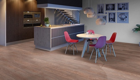 Дуб Рохайд 8063158