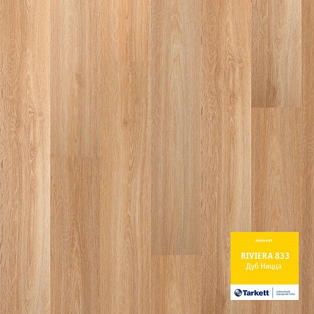 ДУБ НИЦЦА 504034029