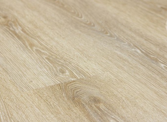 Evergreen Oak PR2795 22837