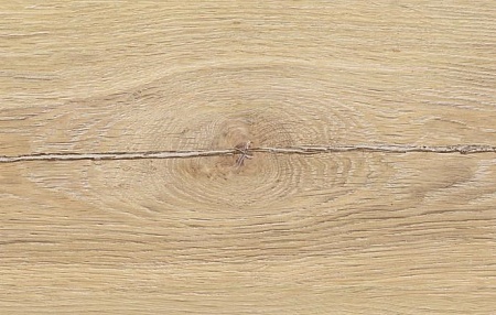 Старая Вена D1813