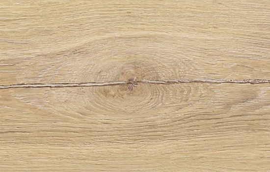 Старая Вена D1813