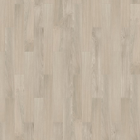 Botticelli S 504450000