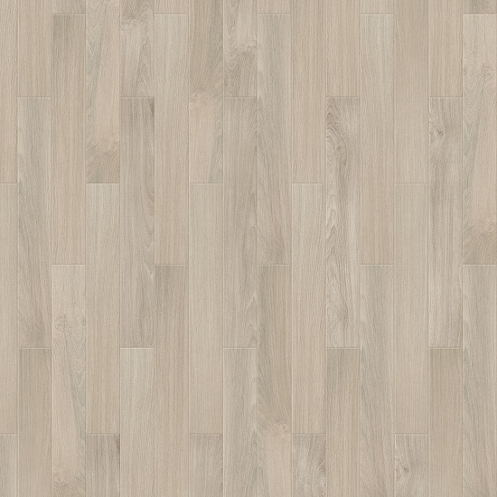 Botticelli S 504450000