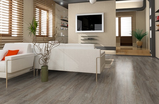 Дуб Робустус D4841