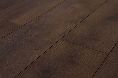 Дуб Рембрант FP551