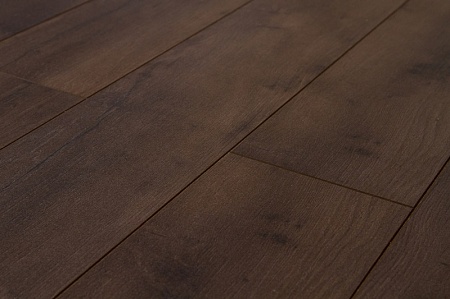 Дуб Рембрант FP551