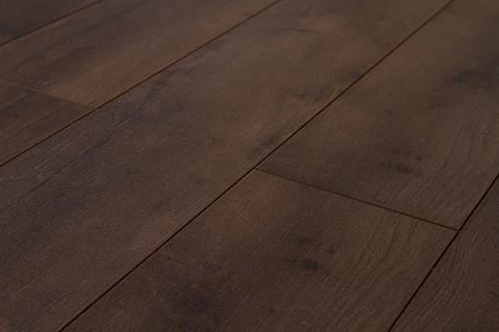 Дуб Рембрант FP551