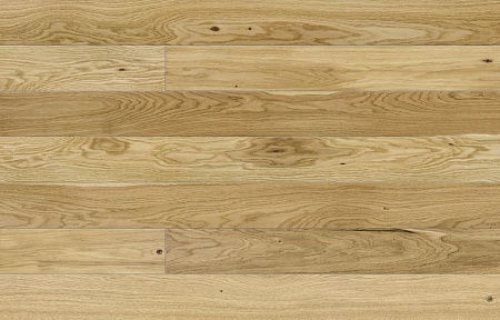 Дуб Askania (0,99 м2)