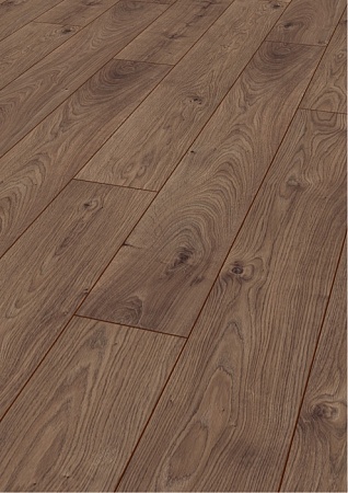 Дуб Шоколадный 8591