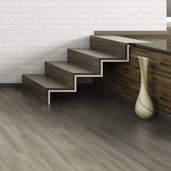 Каштан японский 504035067