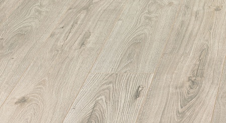 Дуб Латино D 3486