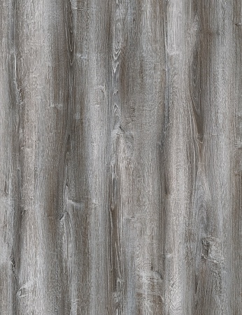 Сосна Асахи FP857