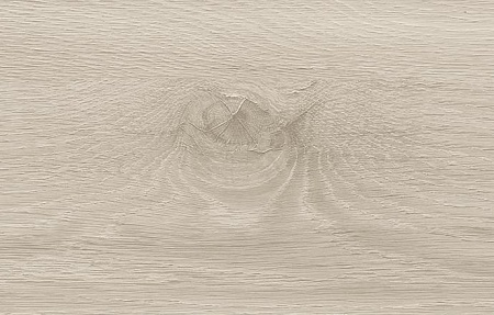 Дуб Стемма D4944