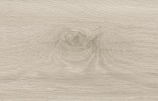 Дуб Стемма D4944