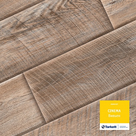 Вивьен 504108032