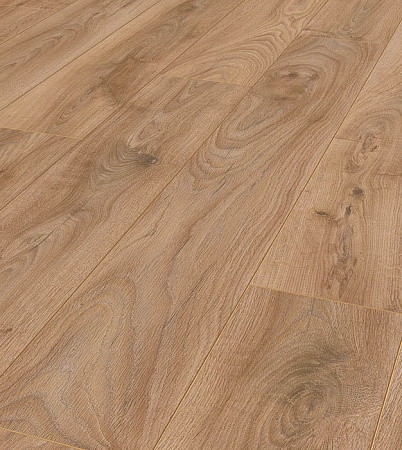 Дуб Исторический 5947