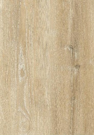 Ясень жёлтый 504466001