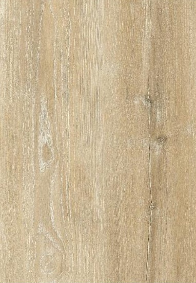 Ясень жёлтый 504466001