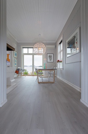 Сосна серебряная 4211