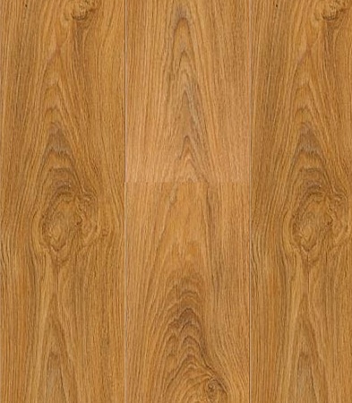 Спартак 504426003