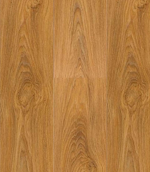 Спартак 504426003