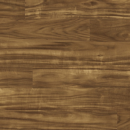 Акация Истсайд О430 HG