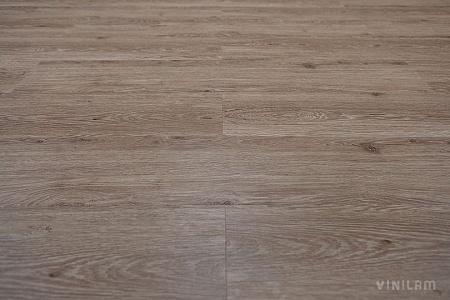 Дуб Брюссель 04-018