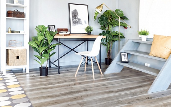 ЕСО 5-18 ДУБ ЛЕСНОЙ