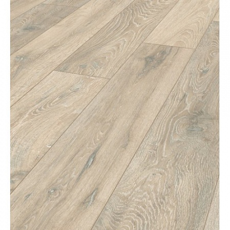 Дуб Колорадо 5543