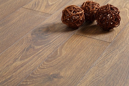 Дуб Гарда D 3104