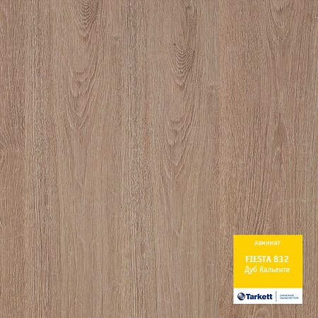 Дуб Кальенте 504016051