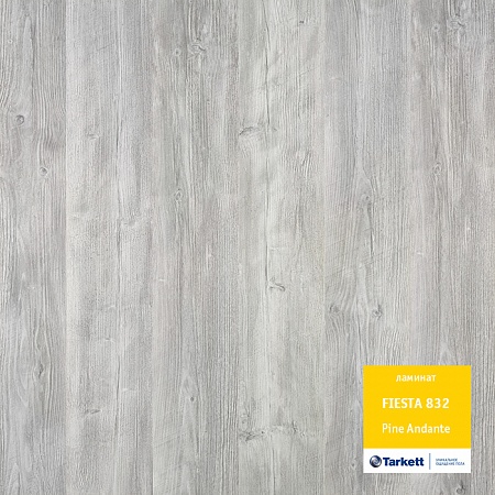 Сосна Андантэ 504016048