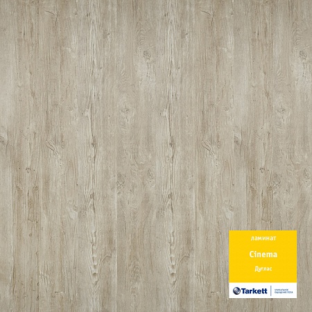 Дуглас 504108038