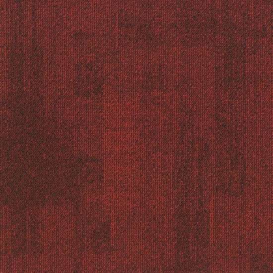 Teak 363