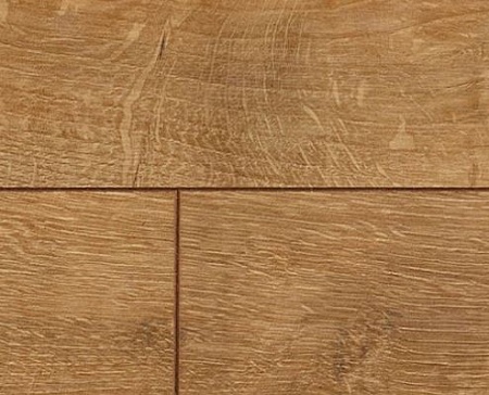 Дуб Балтика D 3787