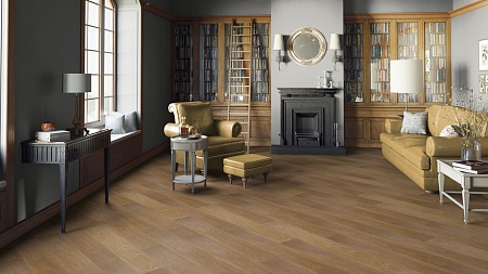 Андромеда 504421001