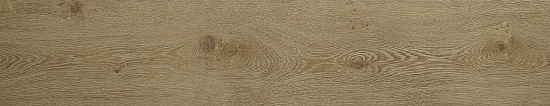 Дуб Ренессанс 12153