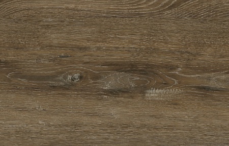 Дуб миллениум D2079