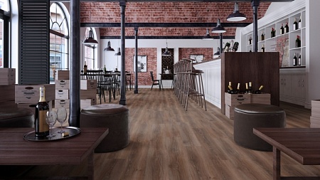 Дуб Александрийский D 3502