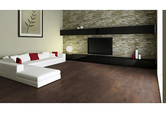 Дуб Гарда D 3104