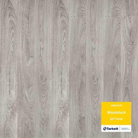 Дуб Паркур 504044145