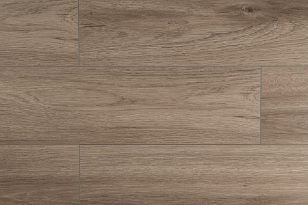 ID88 Дуб Футурис