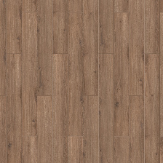 Дулиттл 504418018