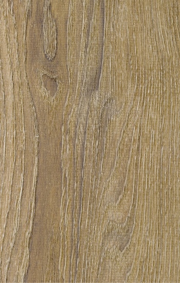 SM 622 Дуб Балеарский